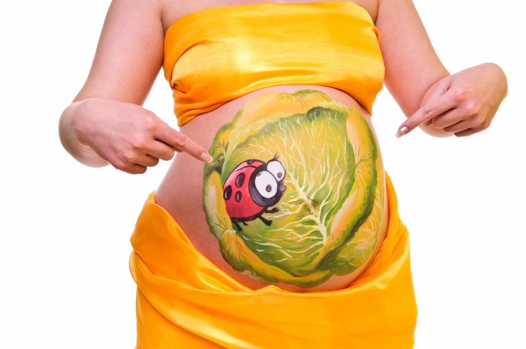 pregnant woman indicates the fingers on her belly. Picture ladybug in cabbage. isolated on a white background. close-up